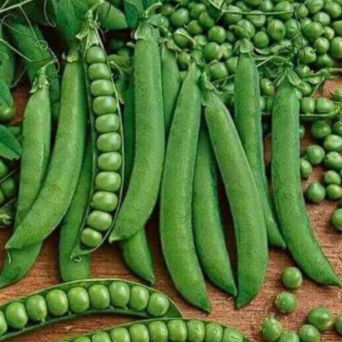 Green Peas – White Gold