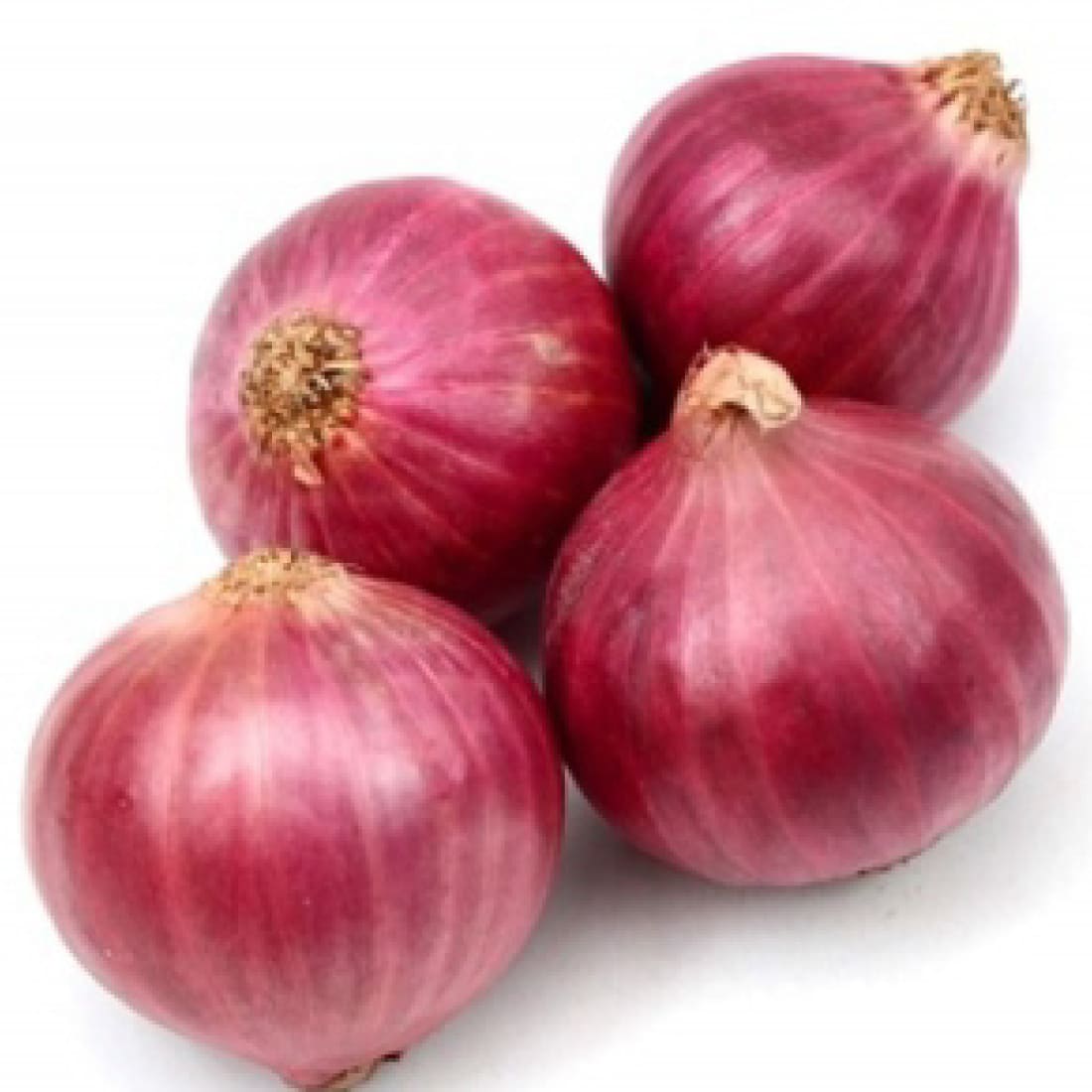 Onion – Gouran 22