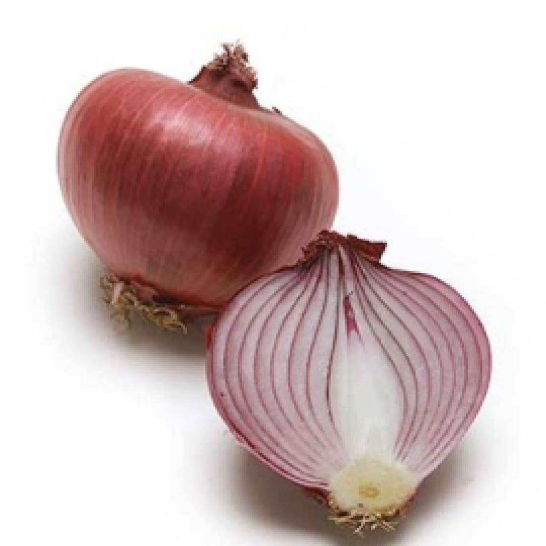 Onion – Gouran 44