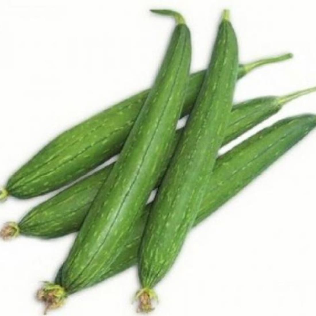 Sponge Gourd – Laxmi-707