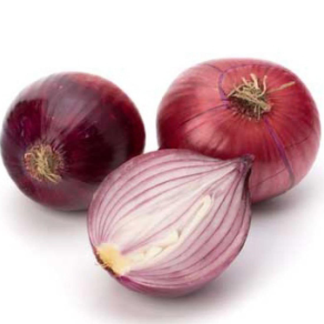 Onion – Pursangi 66