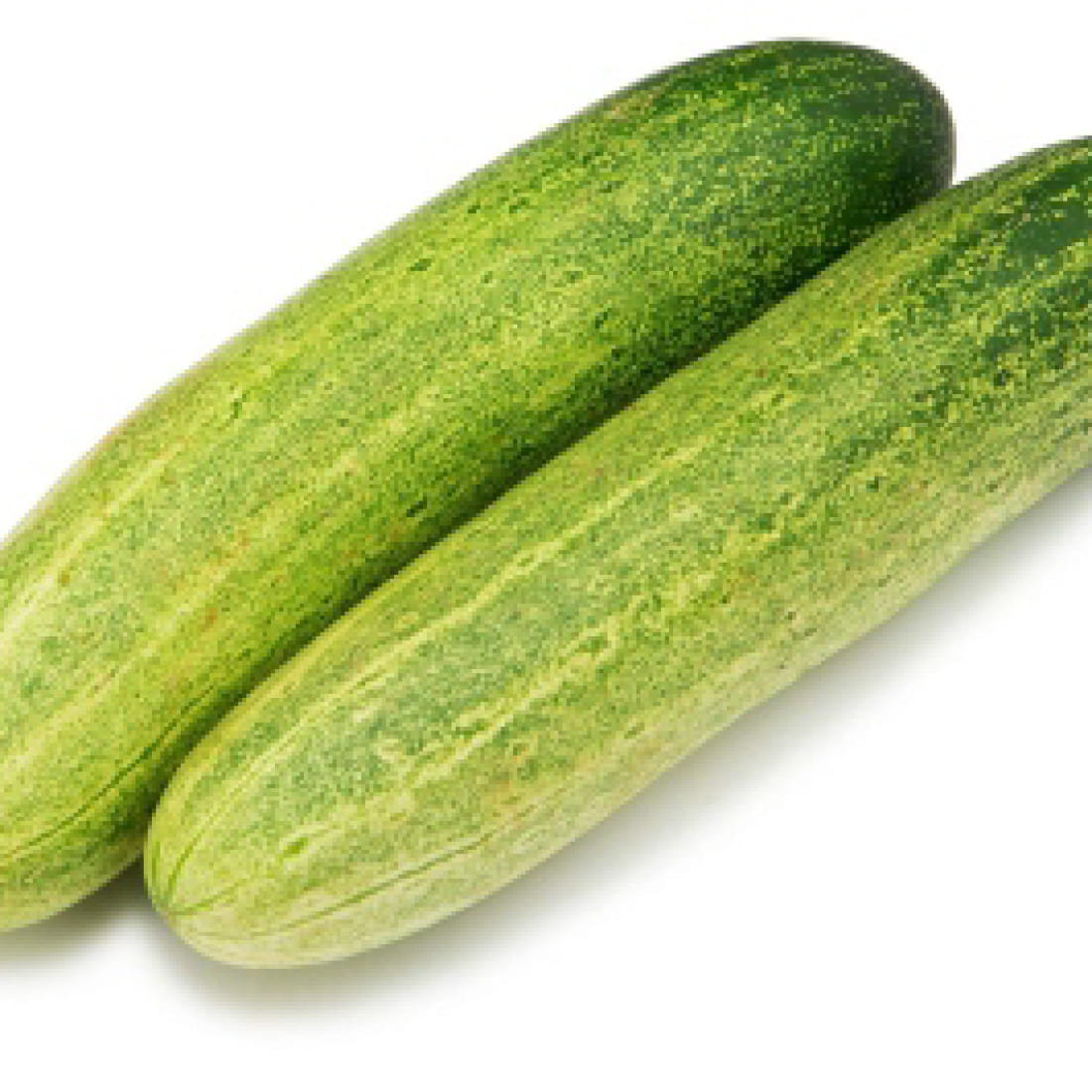 Cucumber – SLV Malini