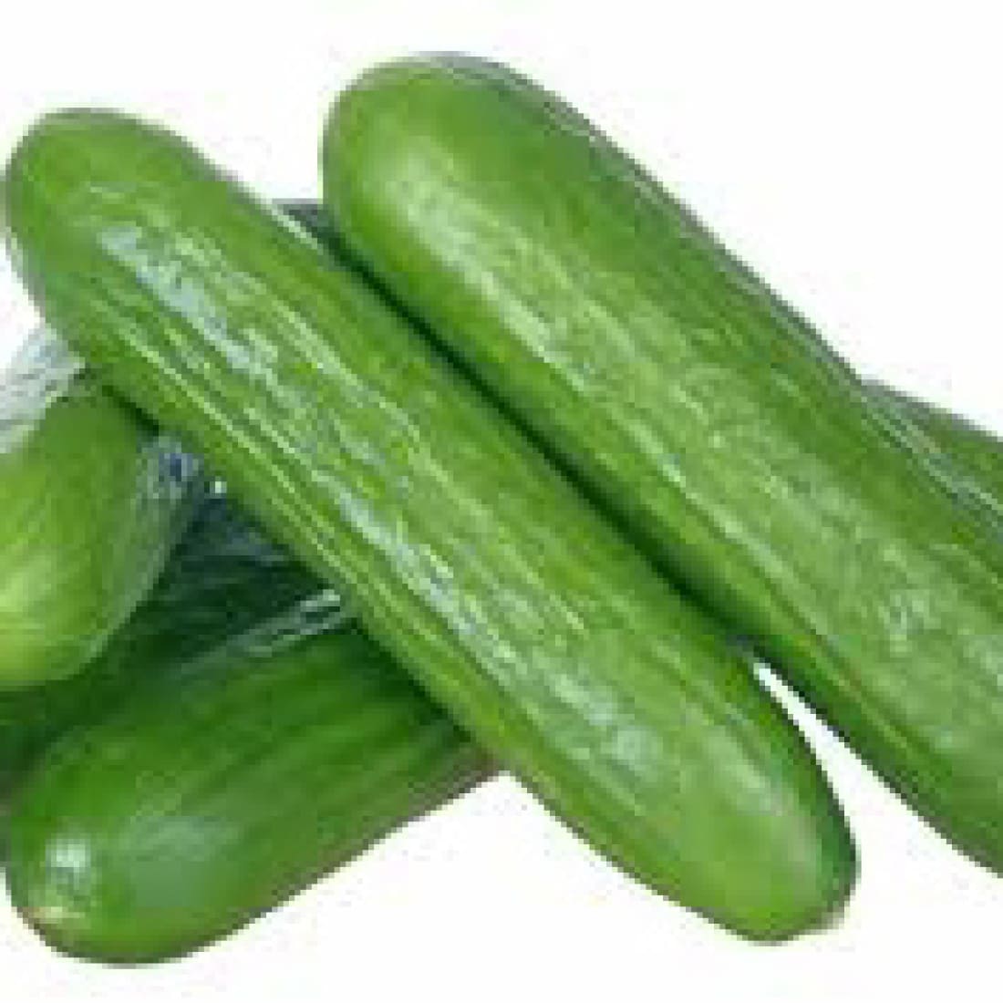 Cucumber – Sania