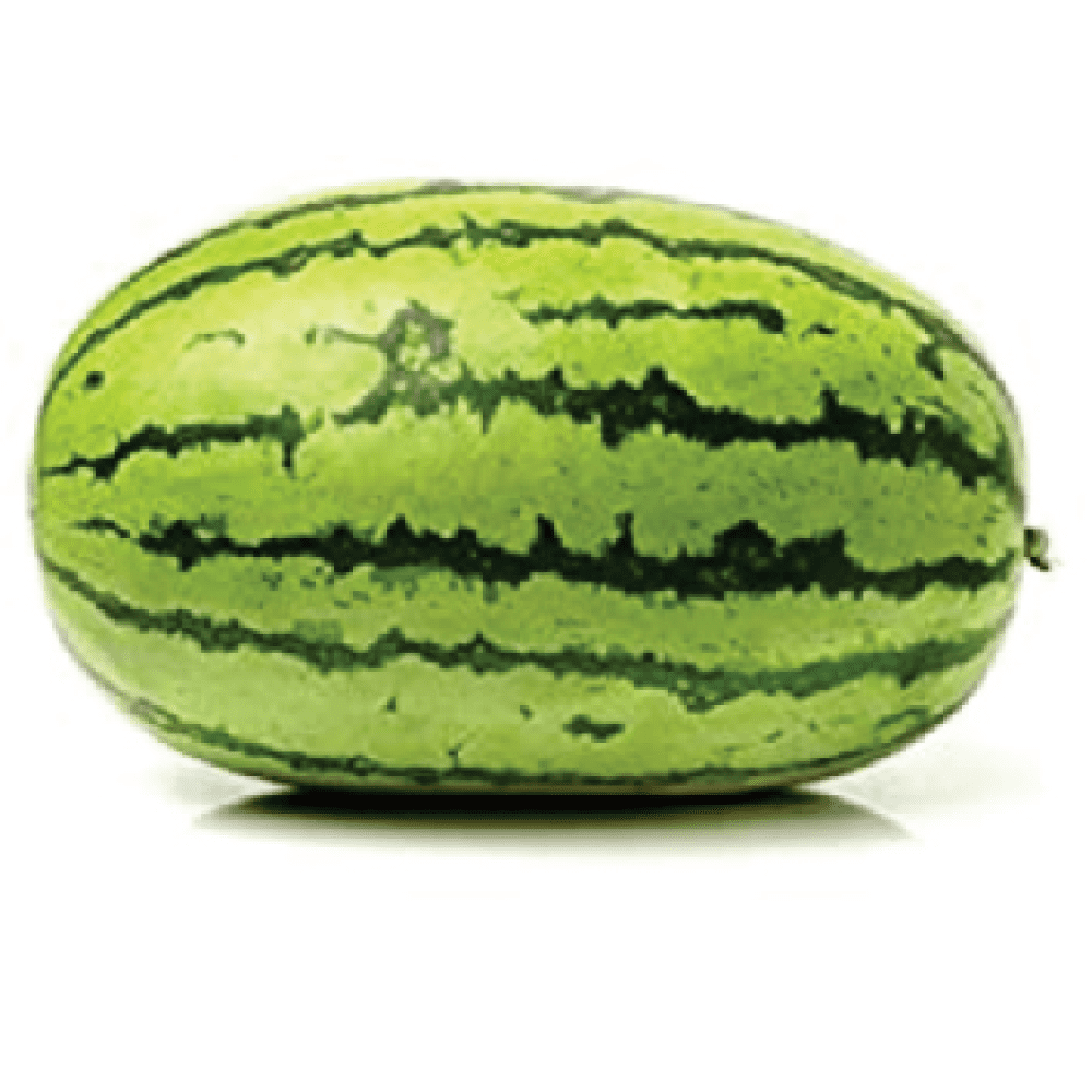 Watermelon – Triveni 101